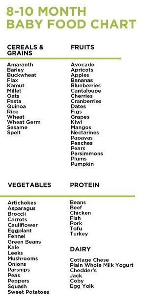 foods you can give to 8 month old baby